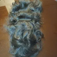 فروش کلاه گیس طبیعی|آرایشی، بهداشتی، درمانی|فردیس, شهرک ارم|دیوار