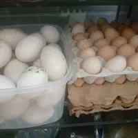 تخم مرغ محلی