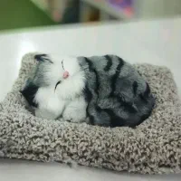 گربه های موزیکال|اسباب‌بازی بچه|یزد, |دیوار