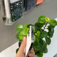 iphone 13 promax 128 gb صفر واقعی|موبایل|ارومیه, |دیوار