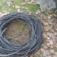 کابل ۲در۶ مفتولی|مصالح و تجهیزات ساختمان|اسالم, |دیوار