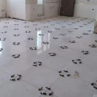 کاشی کاری و سرامیک و موزائیک وپله