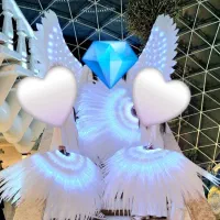 گروه ساقدوش بال فرشته و دف نوازی