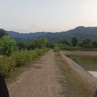 راهنمایی در خصوص امکانات شهر
