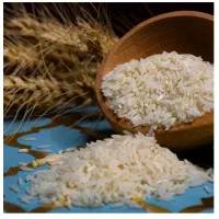 فروش برنج شیرودی