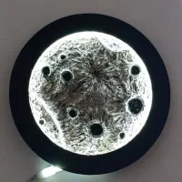 تابلو ماه نوری|تابلو، نقاشی، عکس|سلماس, |دیوار