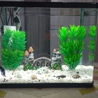 آکواریم شیشه خمه دستگاهی