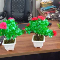 گل مصنوعی بنسای|گل مصنوعی|چغادک, |دیوار