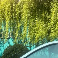 خانم تنها بابت همراهی مادر خانواده و نظافت منزل