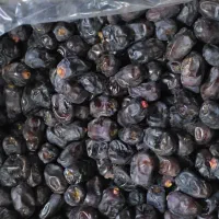 خرمای مضافتی عمده