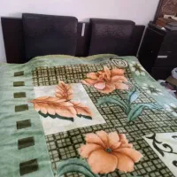 تخت دو نفره و میز آرایش|تخت و سرویس خواب|شیراز, اصلاح‌نژاد|دیوار