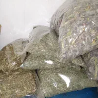 گیاهی عرقیجات