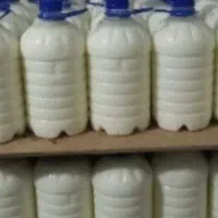 دوغ مشت گوسفندی تازه مال میش مهارلو اوردم