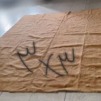 موکت و فرش ماشینی|موکت|تبریز, |دیوار