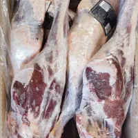 گوشت گوسفند منجمد مغولی