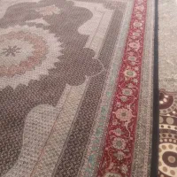 فرش۱۲متری جفت ریزماهی