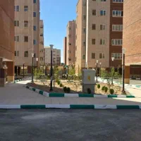 زیتون تک‌خواب/ کلید نخورده