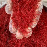فروش زعفرون فقط سوپر نگین