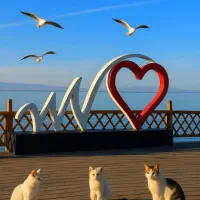 تور ریلی وان|تور و چارتر|تهران, هلال احمر|دیوار