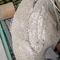 مرجان آکواریومی