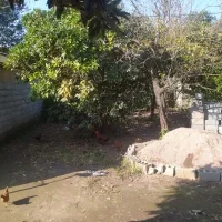 ۱۰۰ متر زمین مسکونی با بر عالی قیمت مناسب ۱۱۰۰|فروش زمین و ملک کلنگی|لنگرود, |دیوار