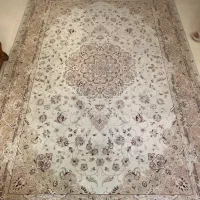 فرش ماشینی|فرش|تهران, فلسطین (میدان انقلاب)|دیوار