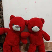 عروسک خرسی نو