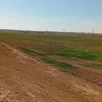 فروش۵۳ هکتار زمین کشاورزی چنانه شوش|فروش دفتر صنعتی، کشاورزی، تجاری|شوش, |دیوار