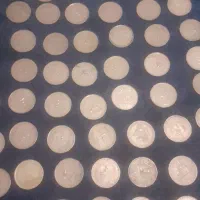 سلام چندعددسکه جمهوری به فروش می رسد