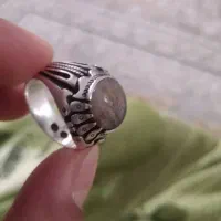 شجر|جواهرات|ساوه, |دیوار