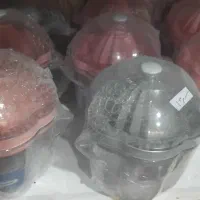 پلاسکو|ظروف نگهدارنده، پلاستیکی، یک‌بارمصرف|رامشیر, |دیوار