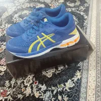 کفش|کیف، کفش، کمربند|مریوان, |دیوار