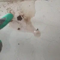 نشت یابی تخصصی لوله های آب و فاضلاب (ترکیدگی لوله)|خدمات پیشه و مهارت|بابلسر, |دیوار