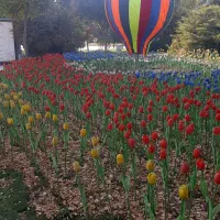 نیازمند نیروی کار فنی ساده نیمه ماهر و ماهر|استخدام صنعتی، فنی، مهندسی|شیراز, دانشگاه شیراز|دیوار