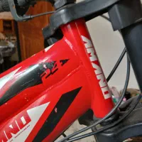 دوچرخه مدل شکاری|دوچرخه، اسکیت، اسکوتر|رویان, |دیوار