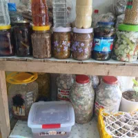 ترشی و سبزی و مربا و|خوردنی و آشامیدنی|سقز, |دیوار