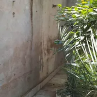 عایق رطوبتی و رنگ آمیزی نما و داخل ساختمان