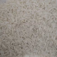 فروش برنج هاشمی