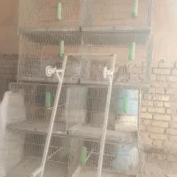 قفس ۸خان جوجه پرون