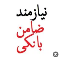 ضامن می خوام