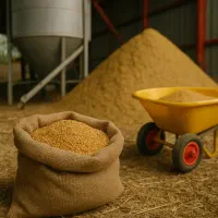 مرغی گوشنی 40 ک با بهره وری بالا