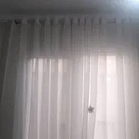 فرش چهار متری وپرده پانچ|فرش|فردیس, نسترن غربی|دیوار