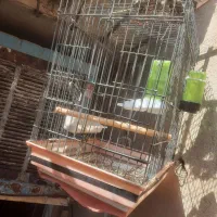 وسایل برای فروش|حراج|رباط‌کریم, رباط‌کریم|دیوار