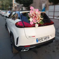 ماشین عروس