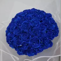 گل روبانی