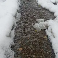 زمین فروشی  گنجان