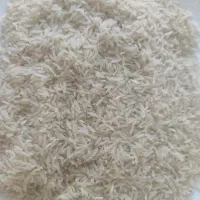 برنج فجر سوزنی