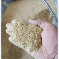سبوس گندم