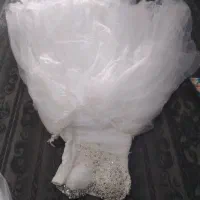 لباس عروس|لباس|صباشهر, |دیوار