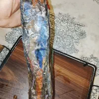 عقیق طبیعی گلچین شده|جواهرات|مشهد, پورسینا|دیوار